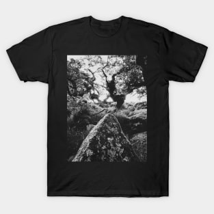 Whistman's Wood in Black and White T-Shirt